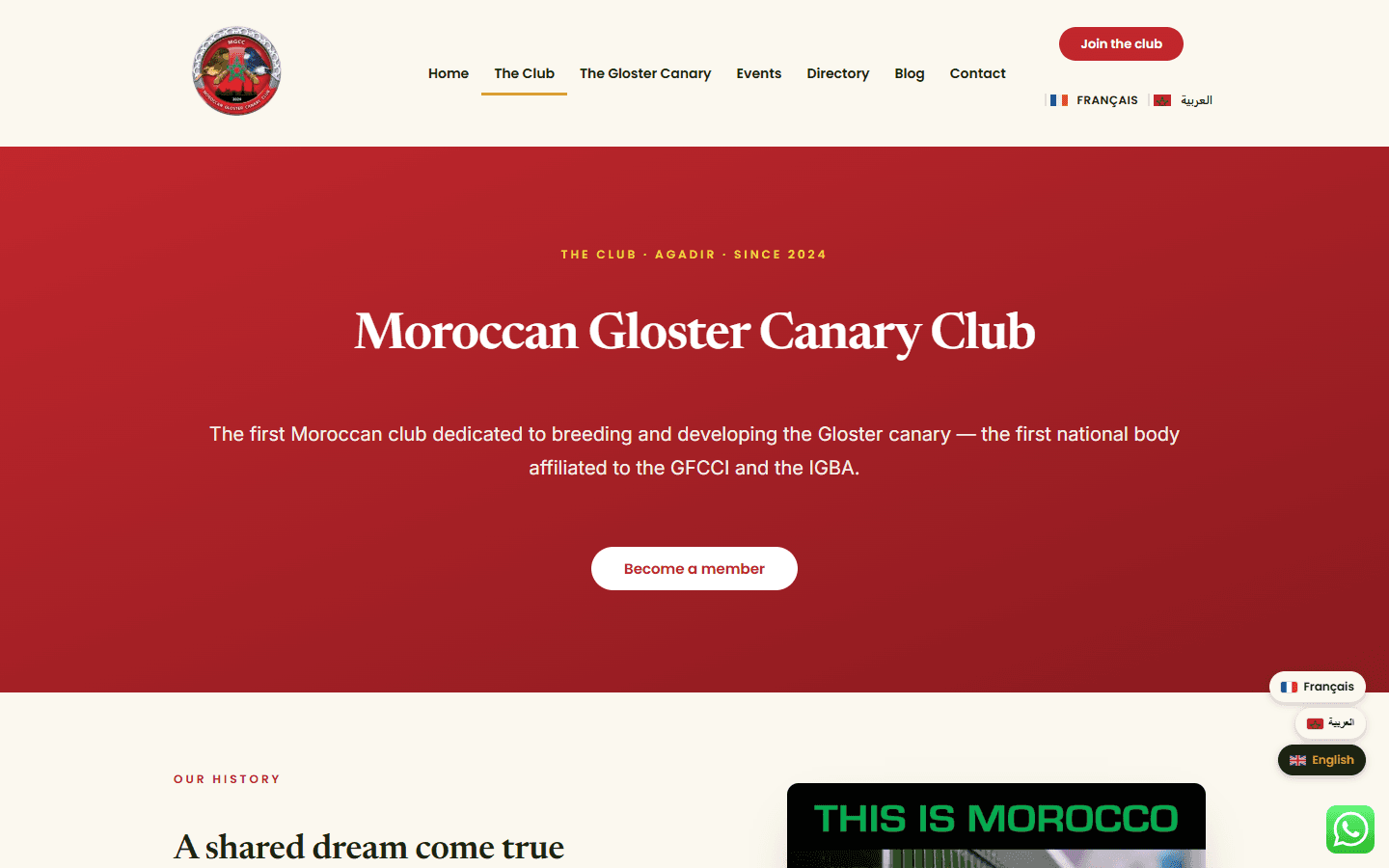 Moroccan Gloster Canary Club · Le club