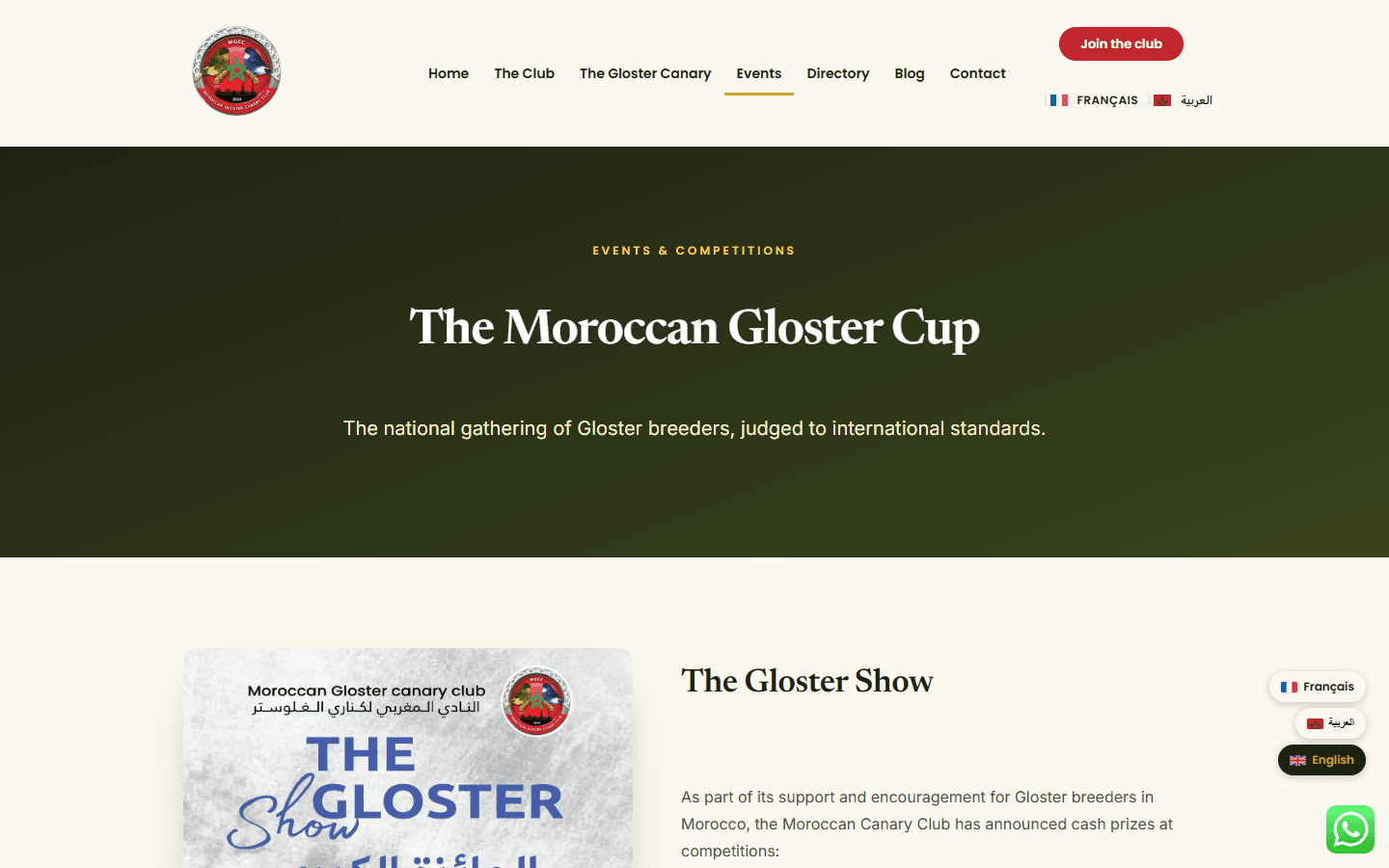 Moroccan Gloster Canary Club · Concours & événements