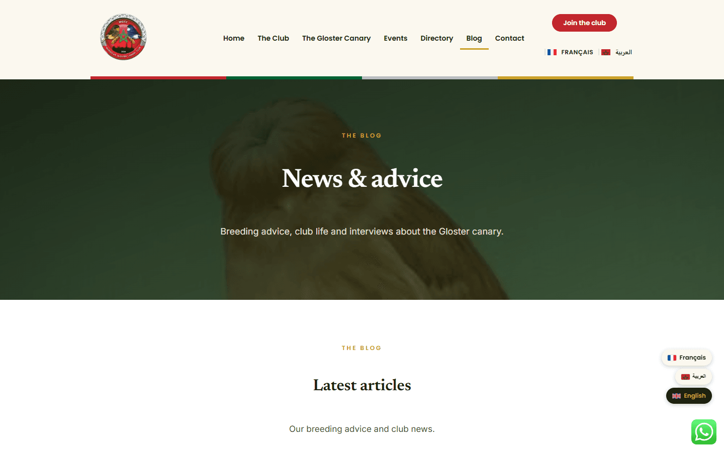 Moroccan Gloster Canary Club · Conseils d'élevage